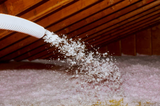 Best Energy Efficiency Solutions in Van Alstyne, TX